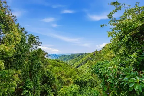 15 Km 10.8 Bo Las Palmas Guayama PR 00784