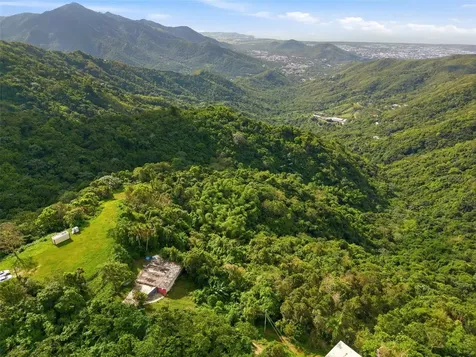 15 Km 10.8 Bo Las Palmas Guayama PR 00784