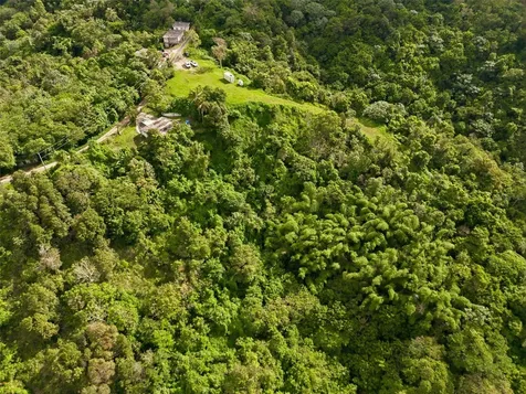 15 Km 10.8 Bo Las Palmas Guayama PR 00784