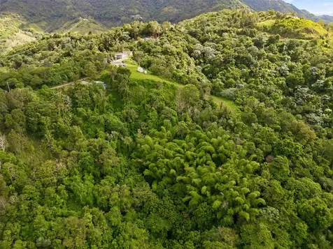 15 Km 10.8 Bo Las Palmas Guayama PR 00784