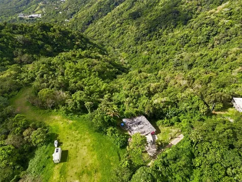 15 Km 10.8 Bo Las Palmas Guayama PR 00784