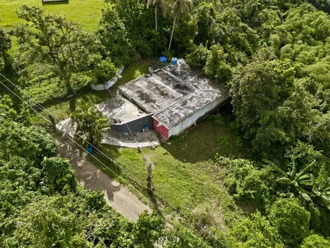 15 Km 10.8 Bo Las Palmas Guayama PR 00784