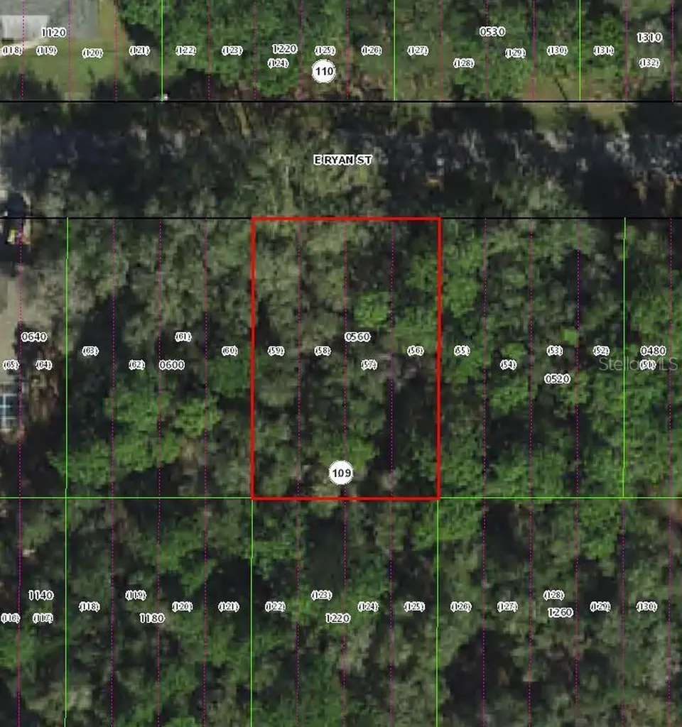 3958 E Ryan Street Inverness FL 34453