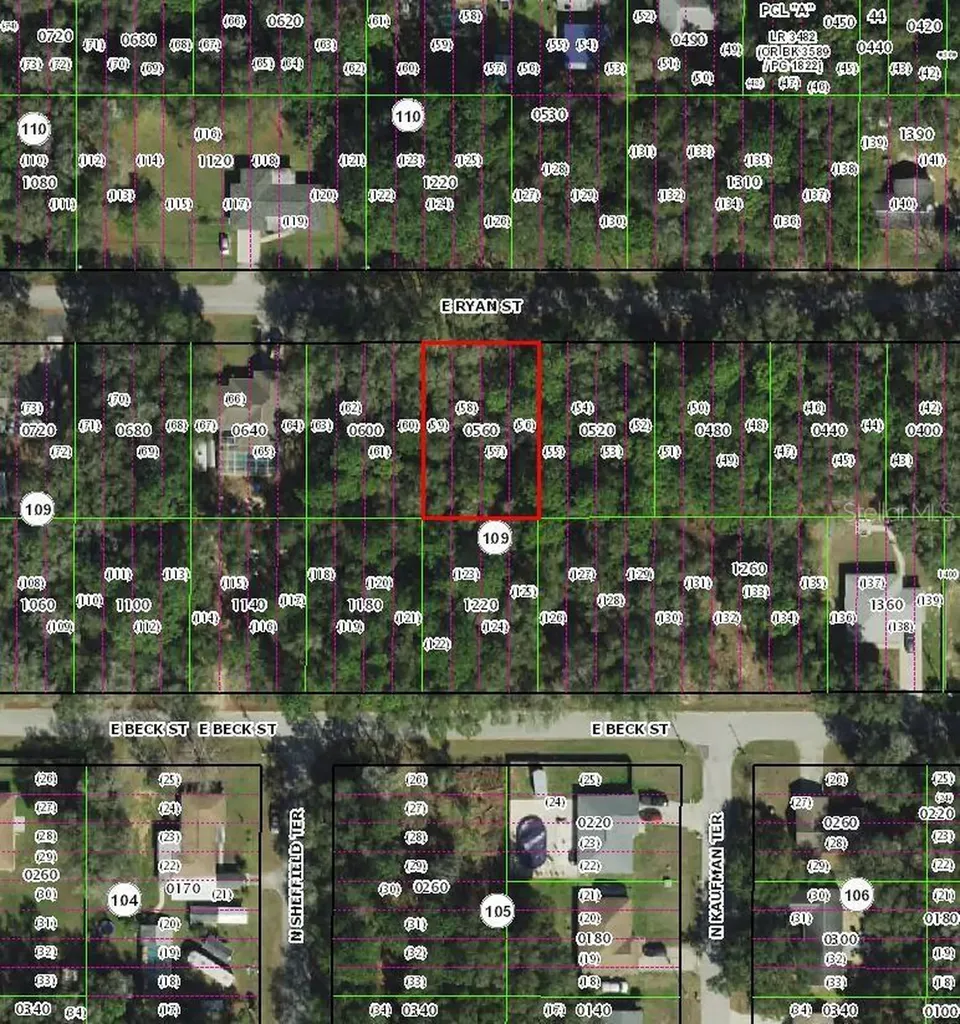 3958 E Ryan Street Inverness FL 34453