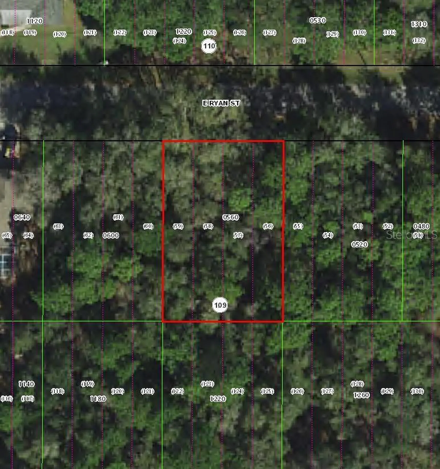 3958 E Ryan Street Inverness FL 34453