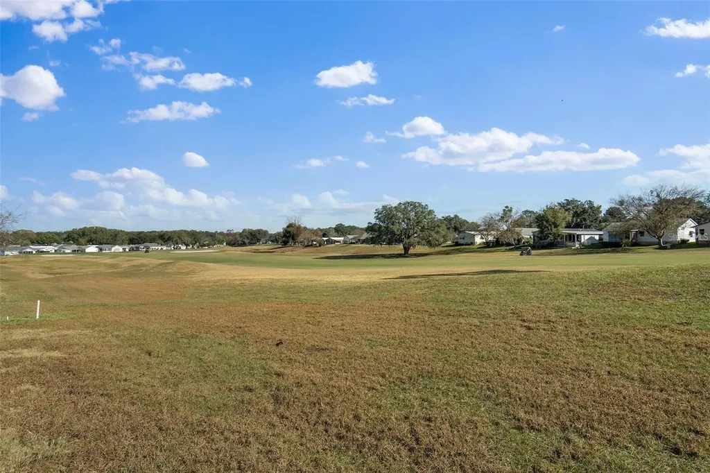1609 Magnolia Avenue The Villages FL 32159