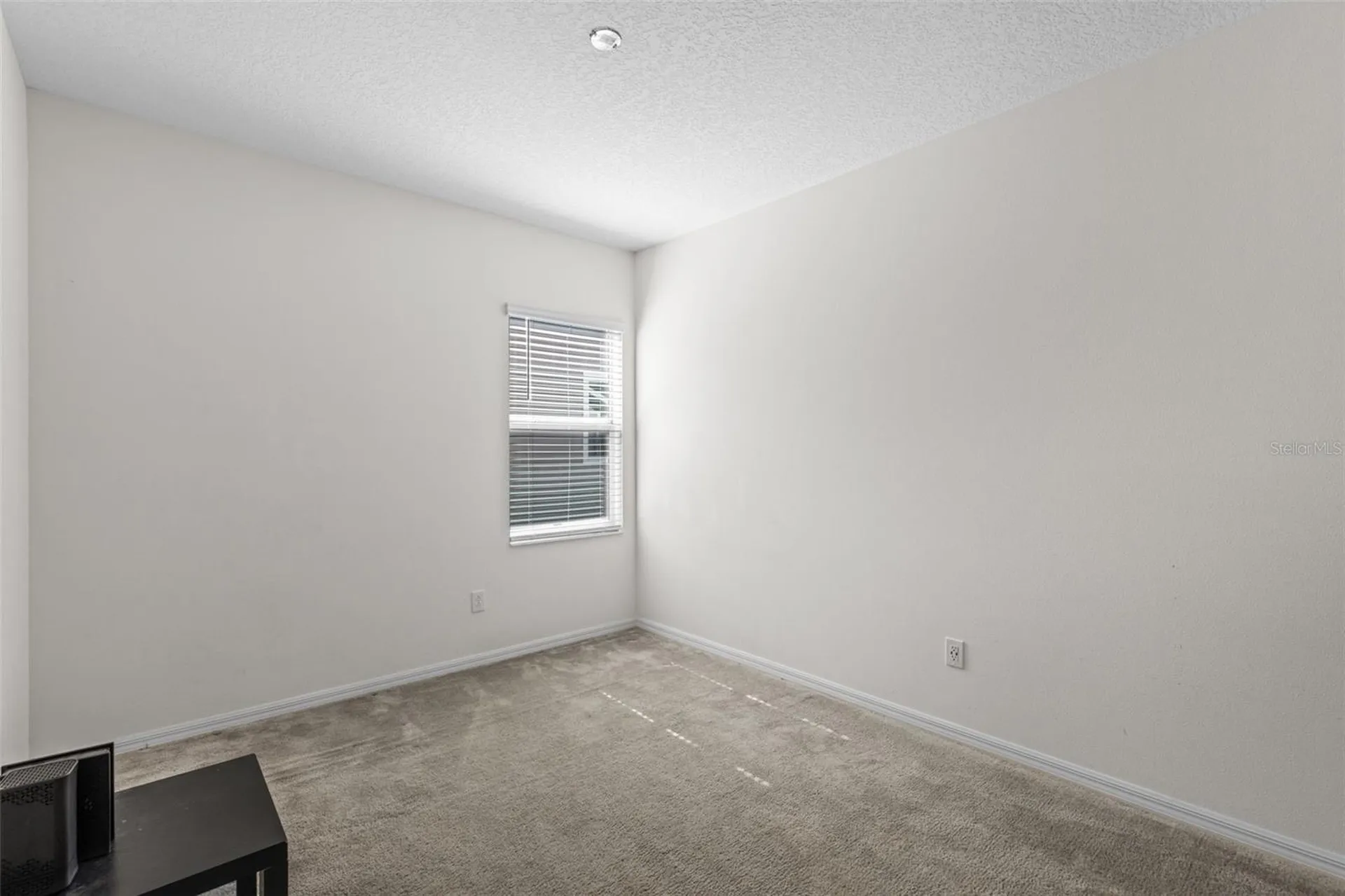 978 E 10th Street Apopka FL 32703