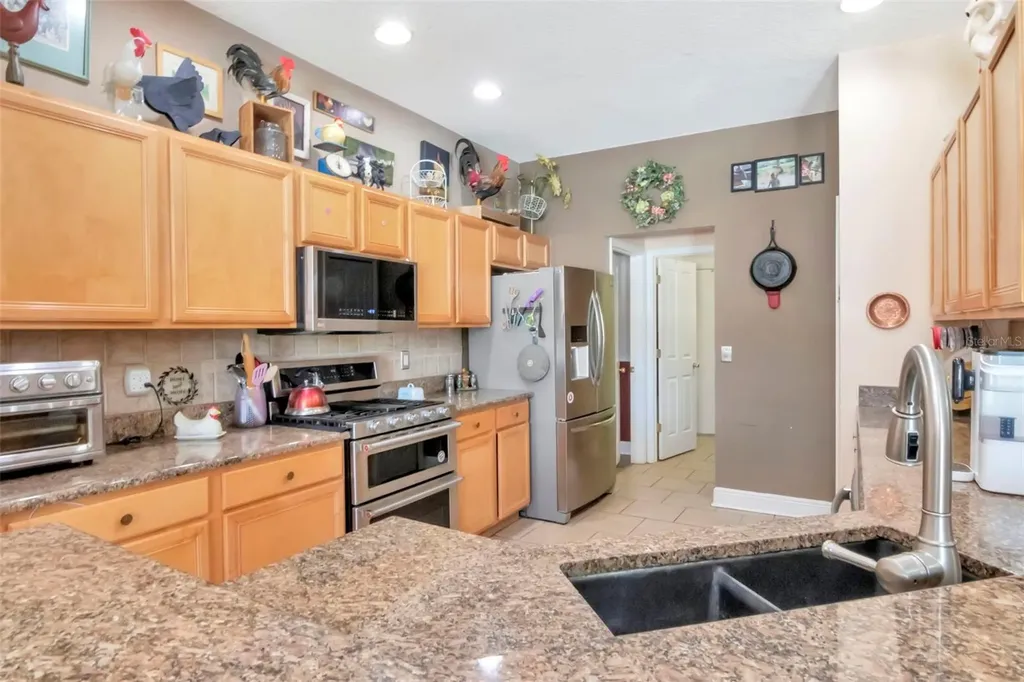 19103 Wind Dancer Street Lutz FL 33558