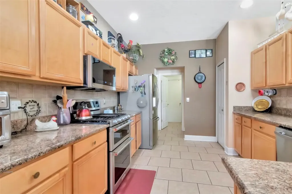 19103 Wind Dancer Street Lutz FL 33558