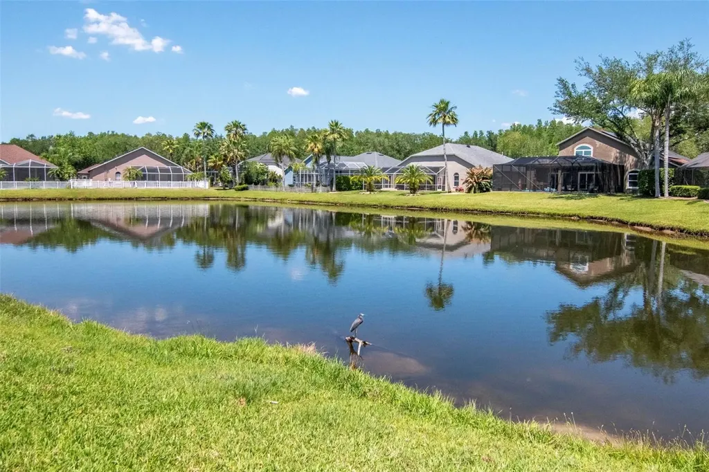 19103 Wind Dancer Street Lutz FL 33558