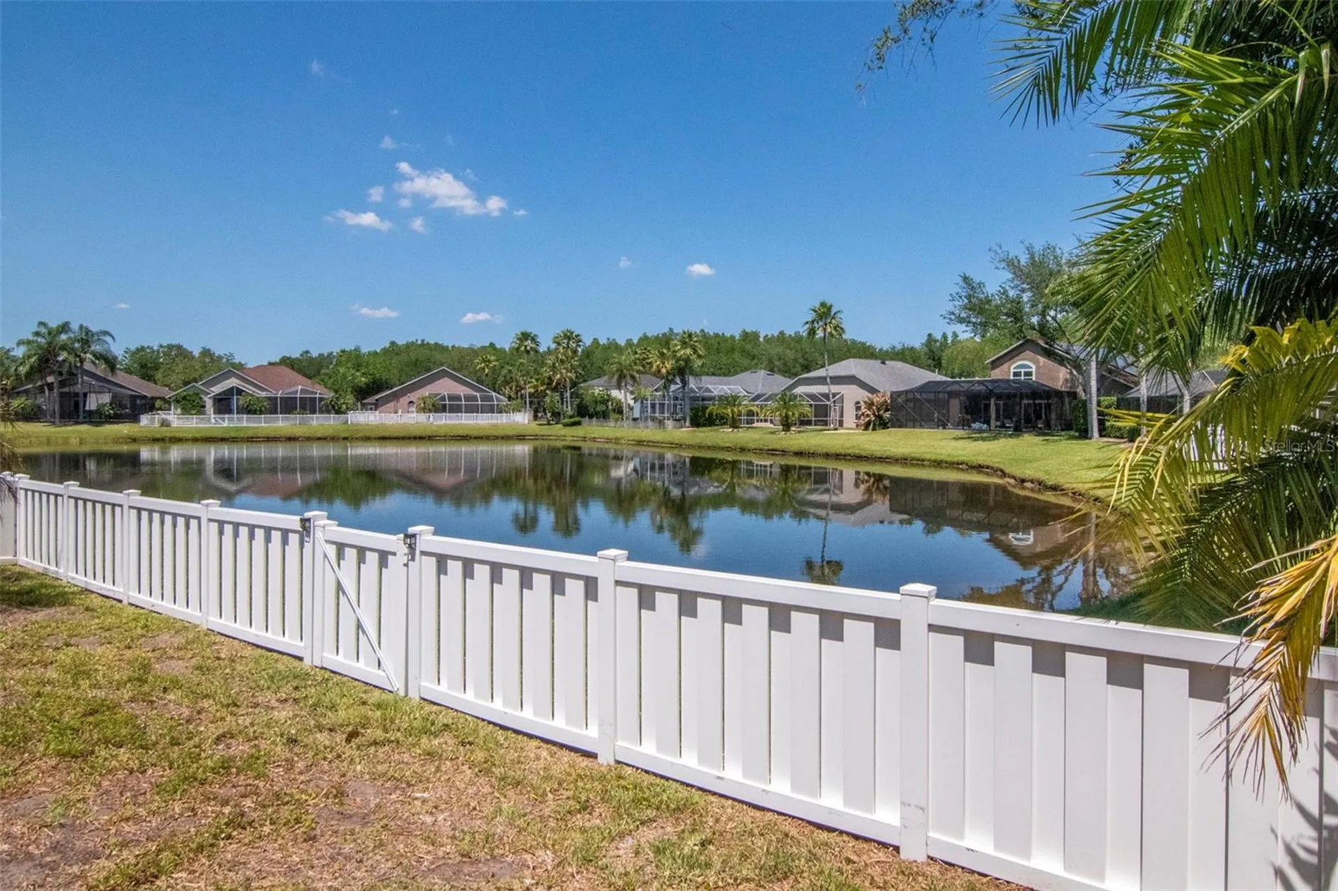 19103 Wind Dancer Street Lutz FL 33558