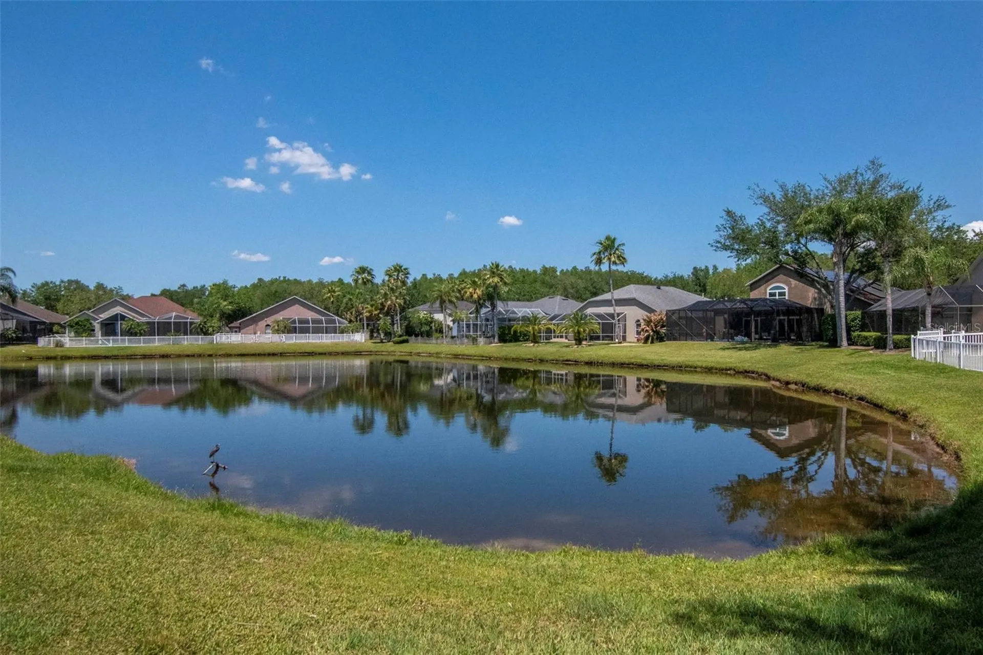 19103 Wind Dancer Street Lutz FL 33558
