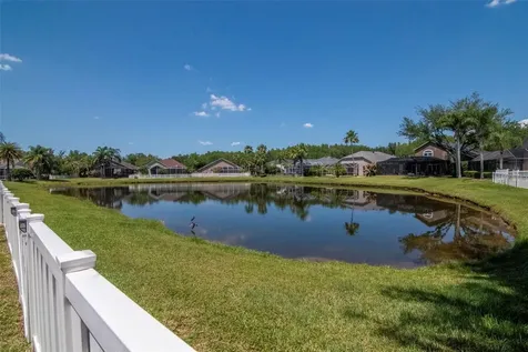 19103 Wind Dancer Street Lutz FL 33558