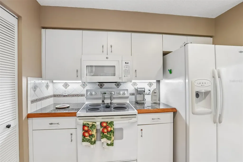 3308 W Santiago Street Tampa FL 33629