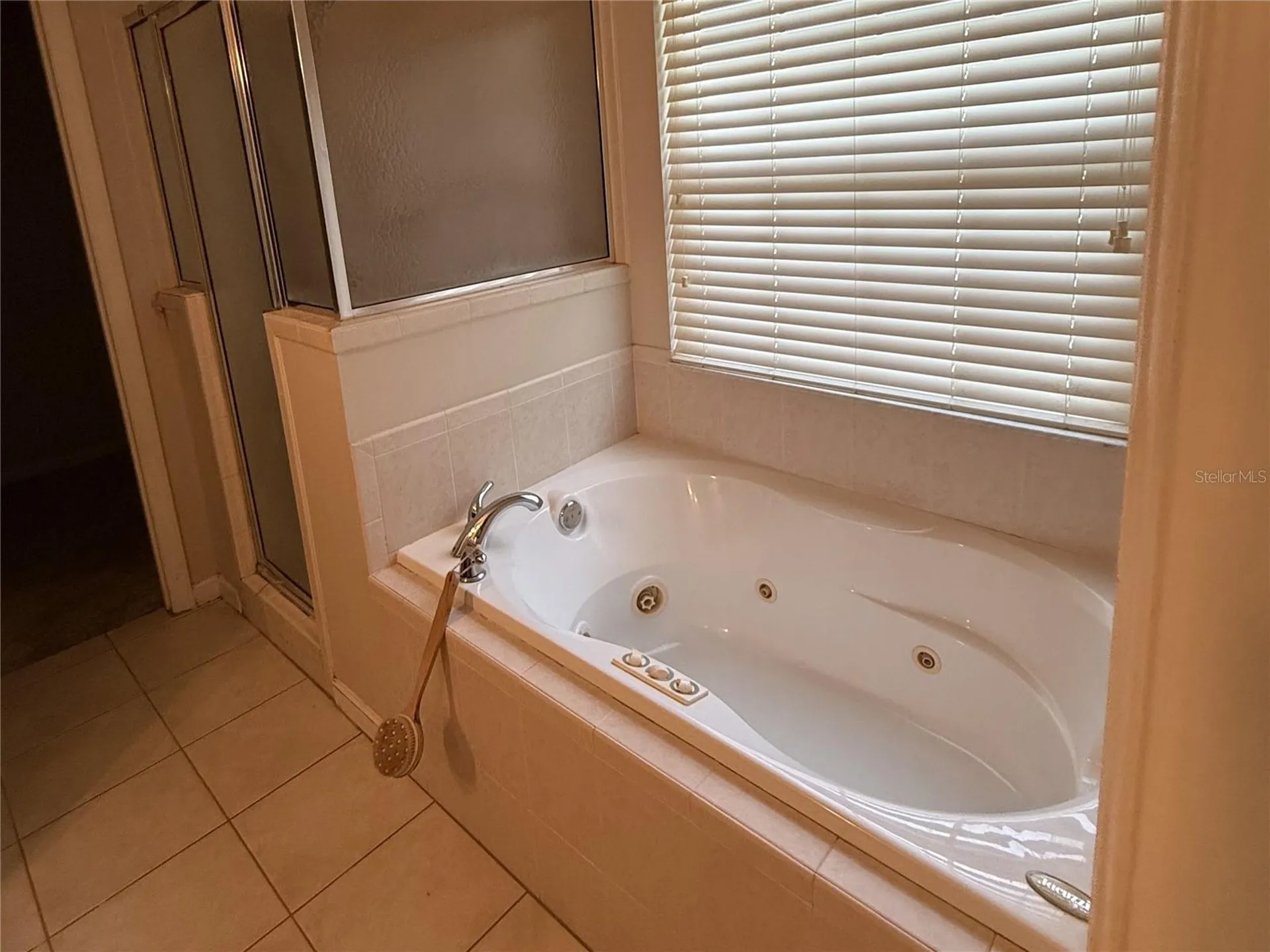 163 SW Groveland Court Lake City FL 32024