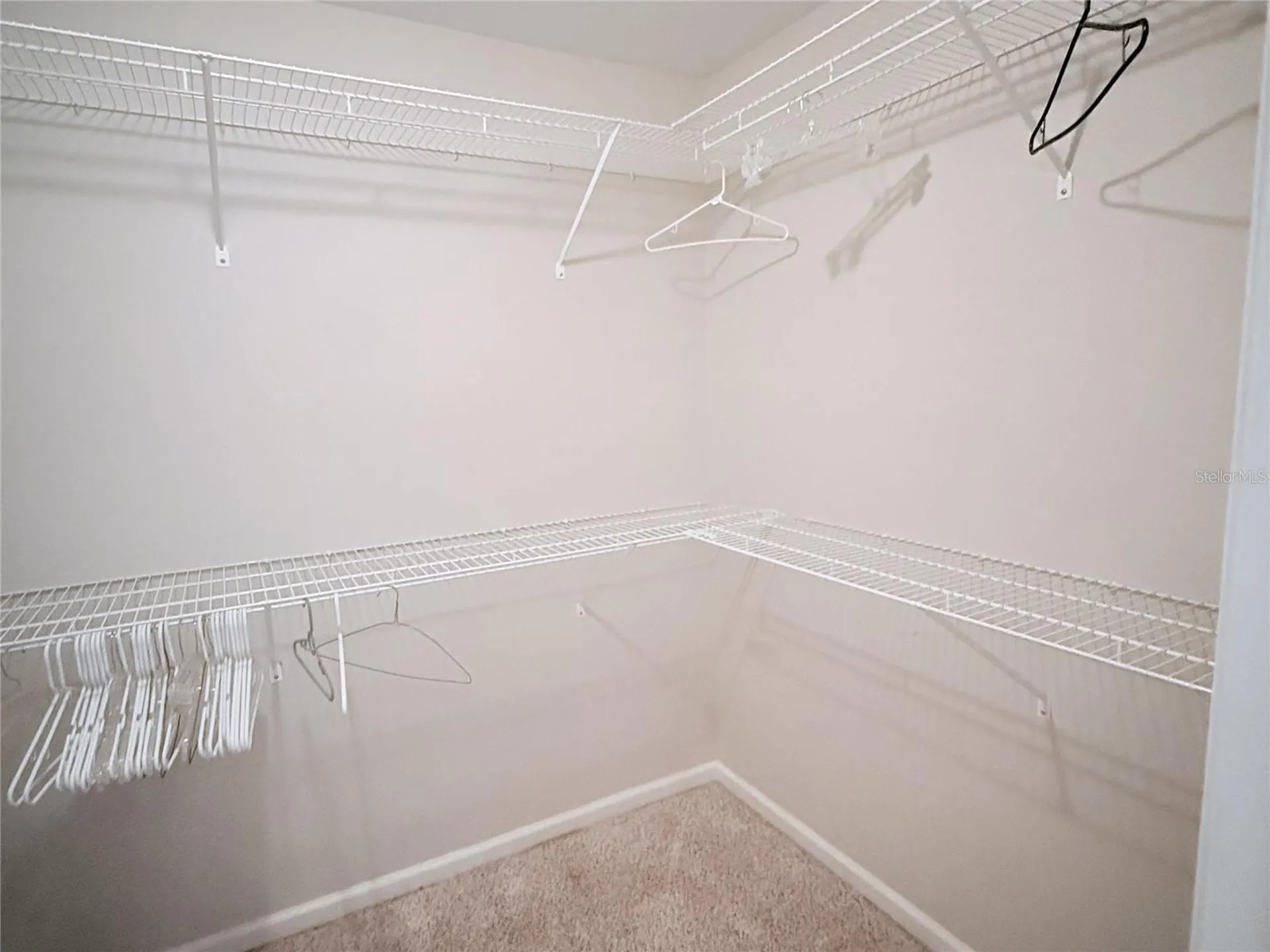 163 SW Groveland Court Lake City FL 32024