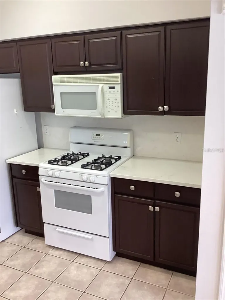 29647 Fog Hollow Drive Wesley Chapel FL 33543