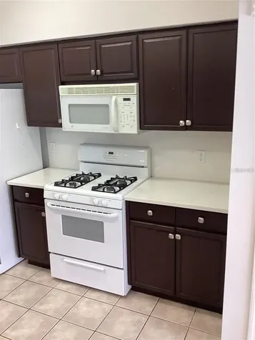 29647 Fog Hollow Drive Wesley Chapel FL 33543