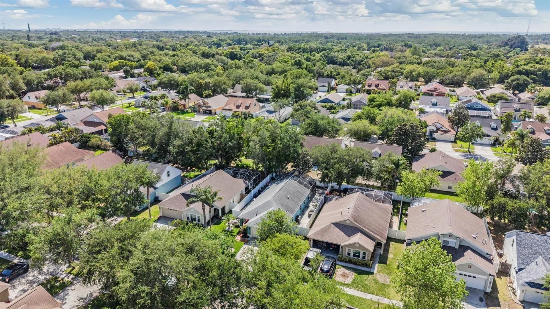 1686 Oak Spring Drive Tarpon Springs FL 34689