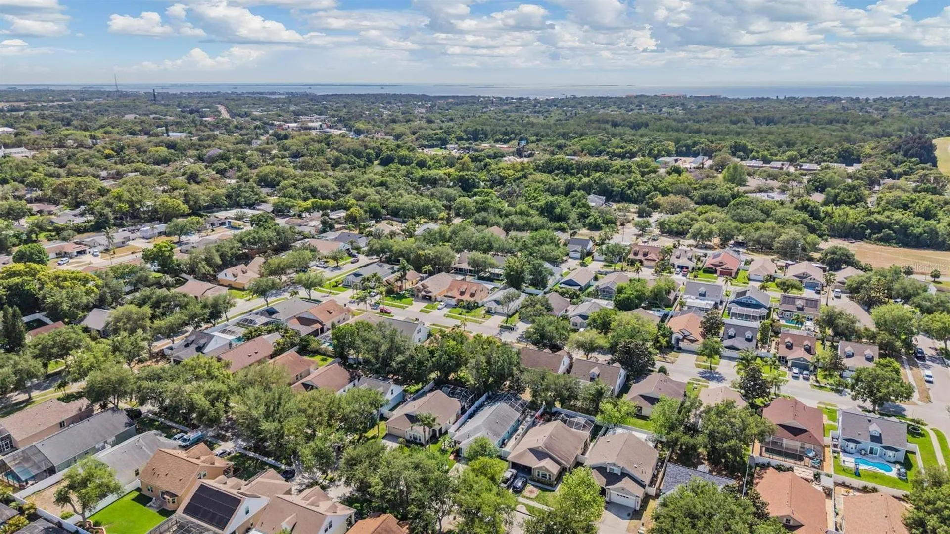 1686 Oak Spring Drive Tarpon Springs FL 34689