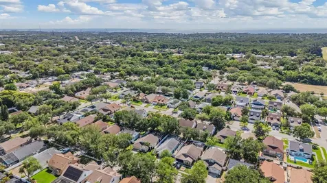 1686 Oak Spring Drive Tarpon Springs FL 34689