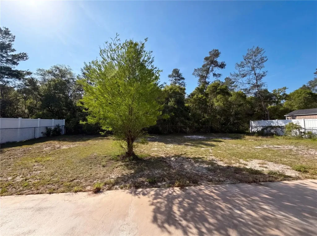17052 SW 39th Circle Ocala FL 34473