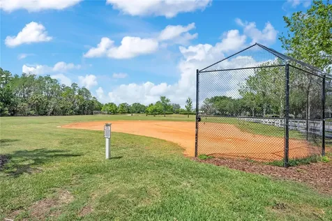 3801 Herlong Street New Port Richey FL 34655