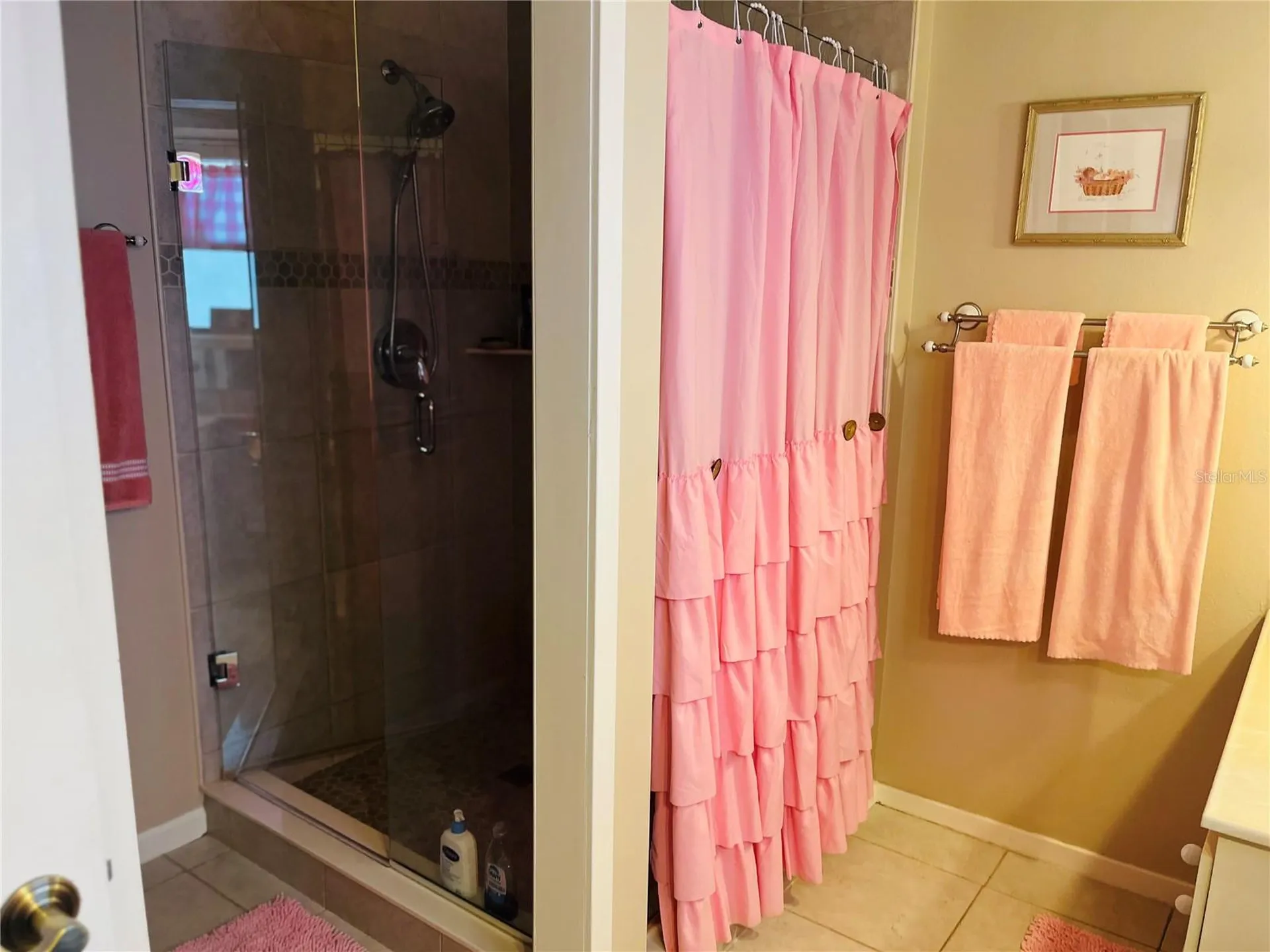 1069 SE 57th Avenue Ocala FL 34480
