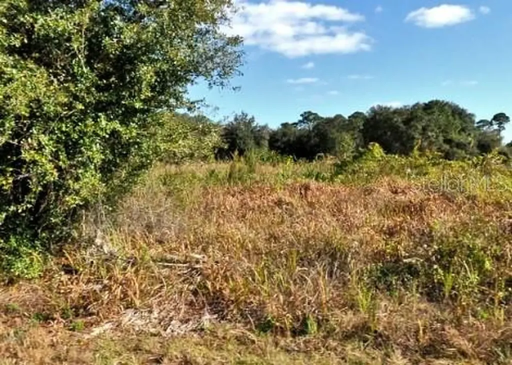Mattox Circle North Port FL 34288