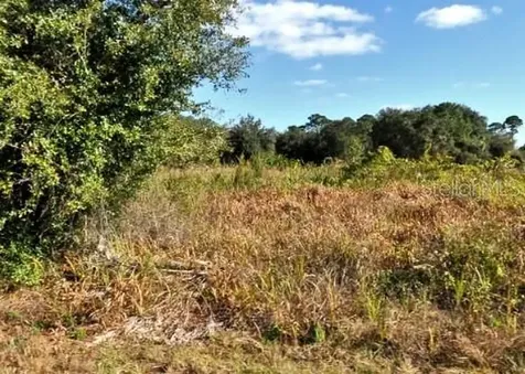 Mattox Circle North Port FL 34288
