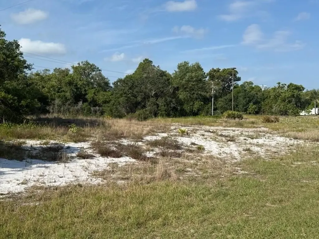 Cedarwood Drive Lake Wales FL 33898