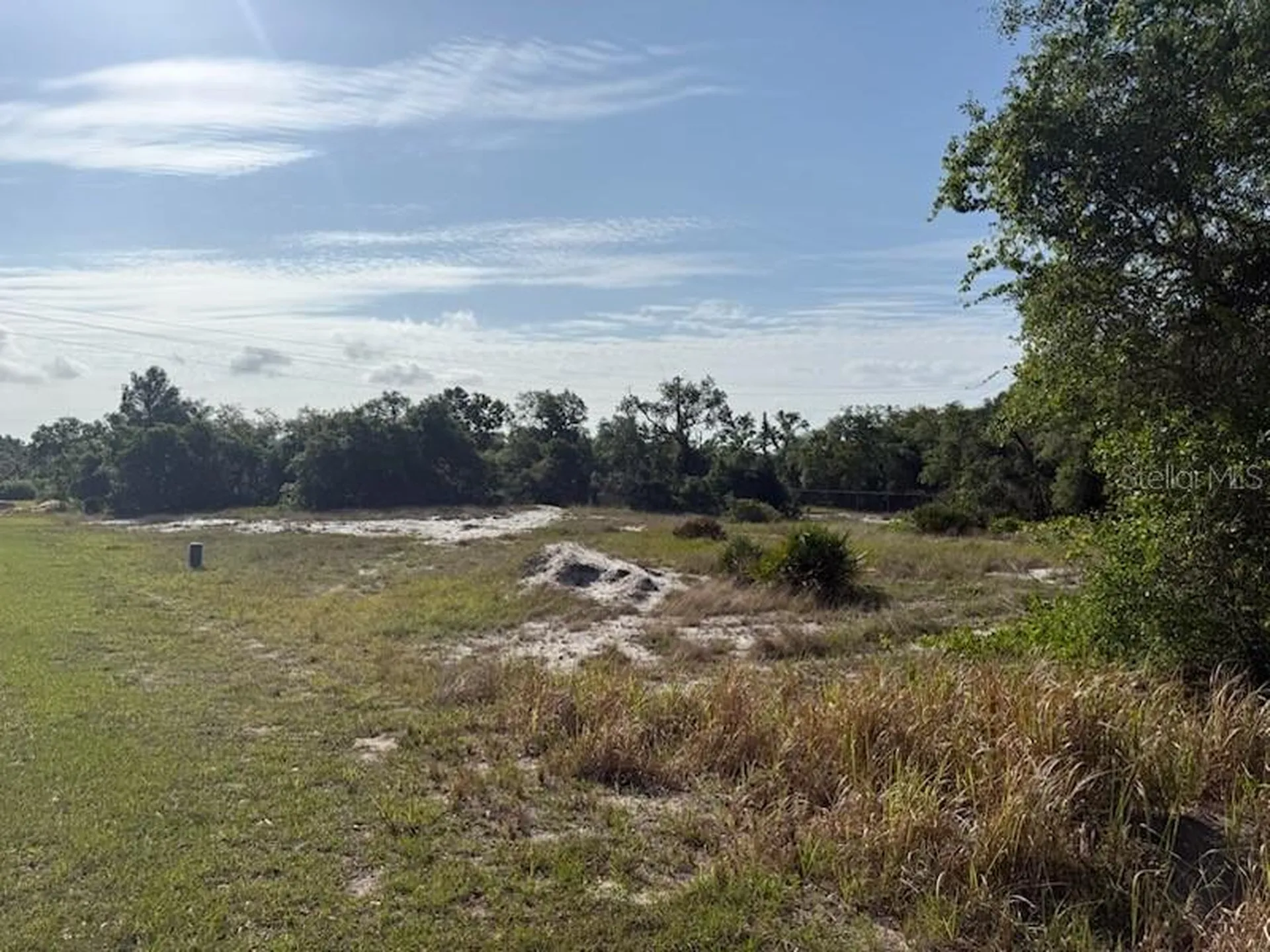 Cedarwood Drive Lake Wales FL 33898