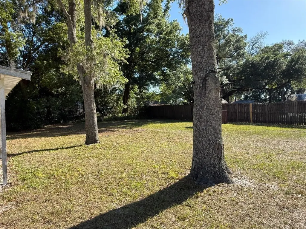 38038 Cat Avenue Zephyrhills FL 33541