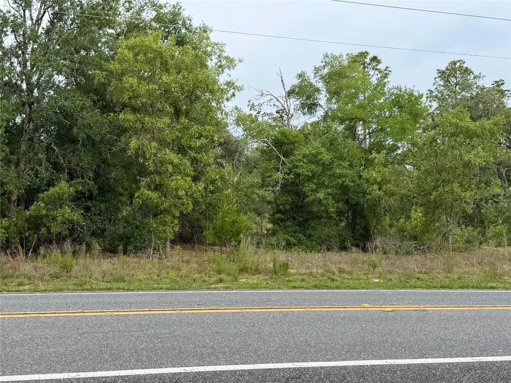 11656 S Florida Avenue Floral City FL 34436