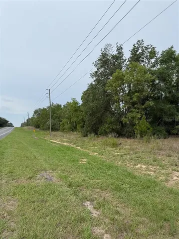 11656 S Florida Avenue Floral City FL 34436