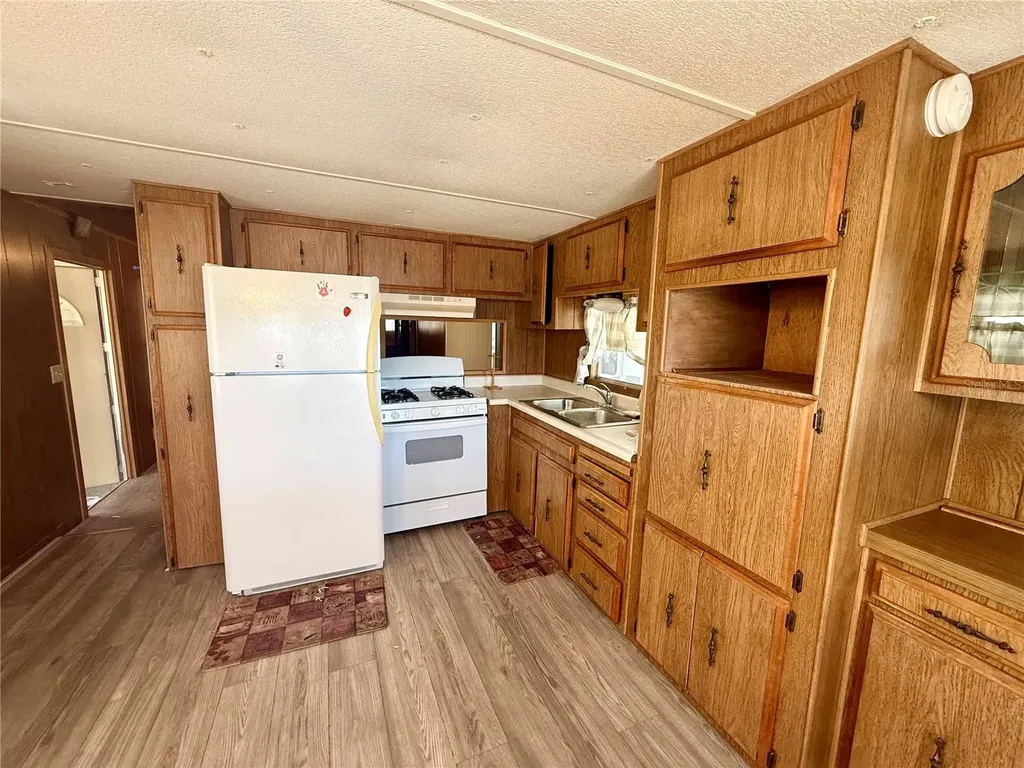 4513 Autumn Palm Drive Zephyrhills FL 33542