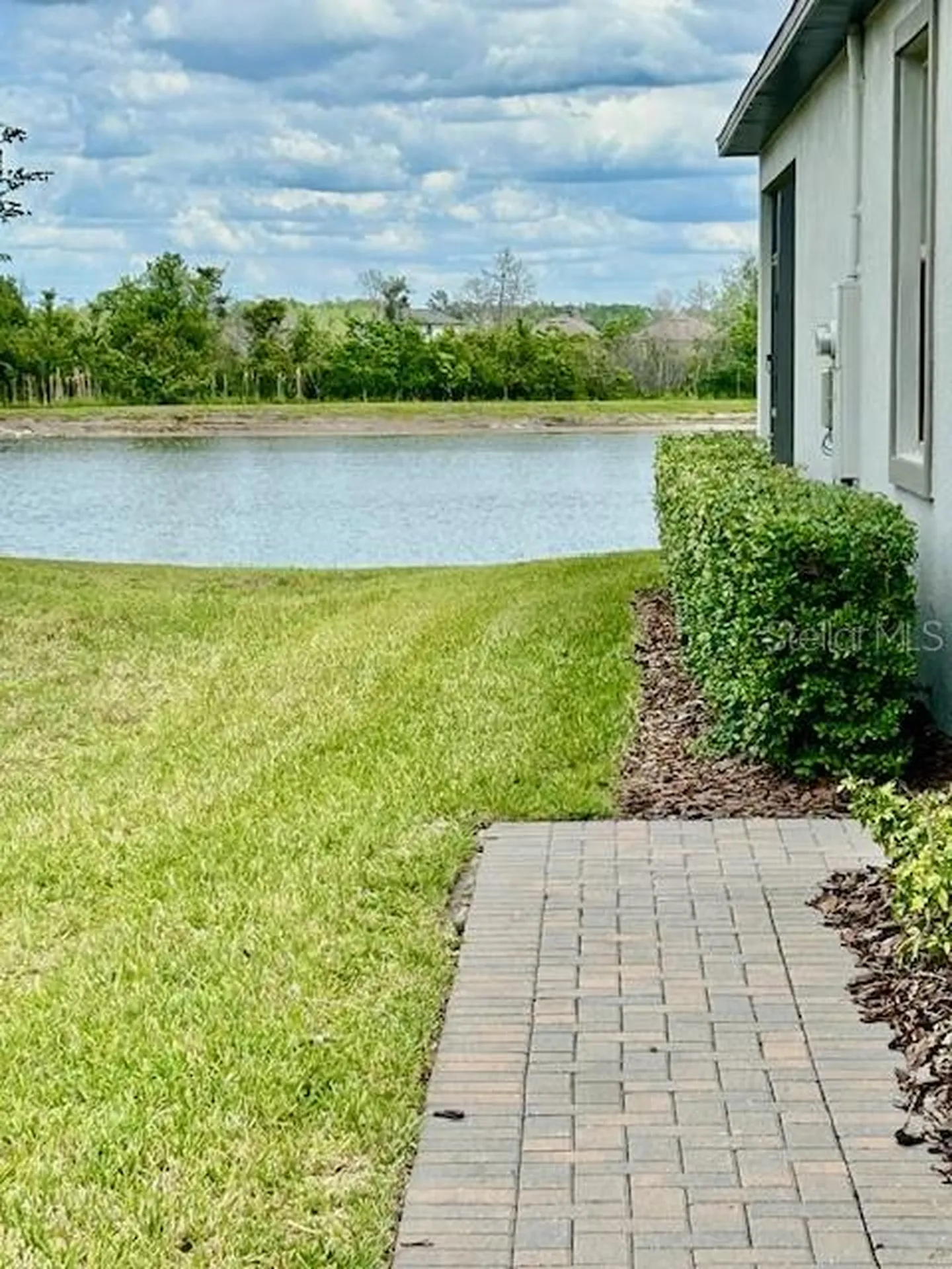 9750 Campanula Court Land O Lakes FL 34637