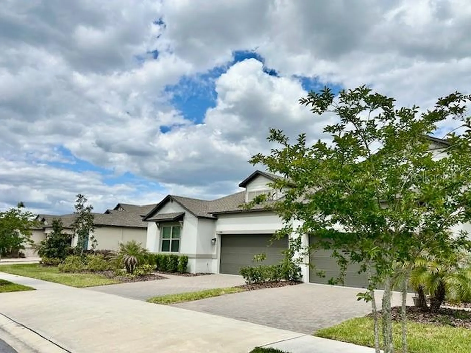 9750 Campanula Court Land O Lakes FL 34637