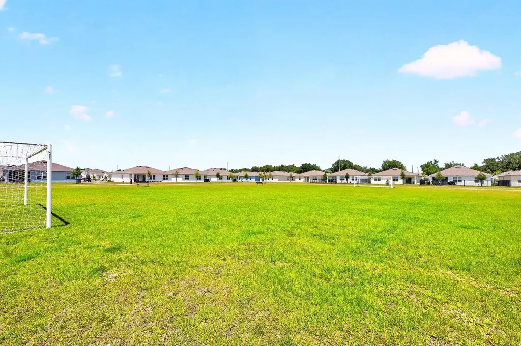 182 Amberwood Way Umatilla FL 32784