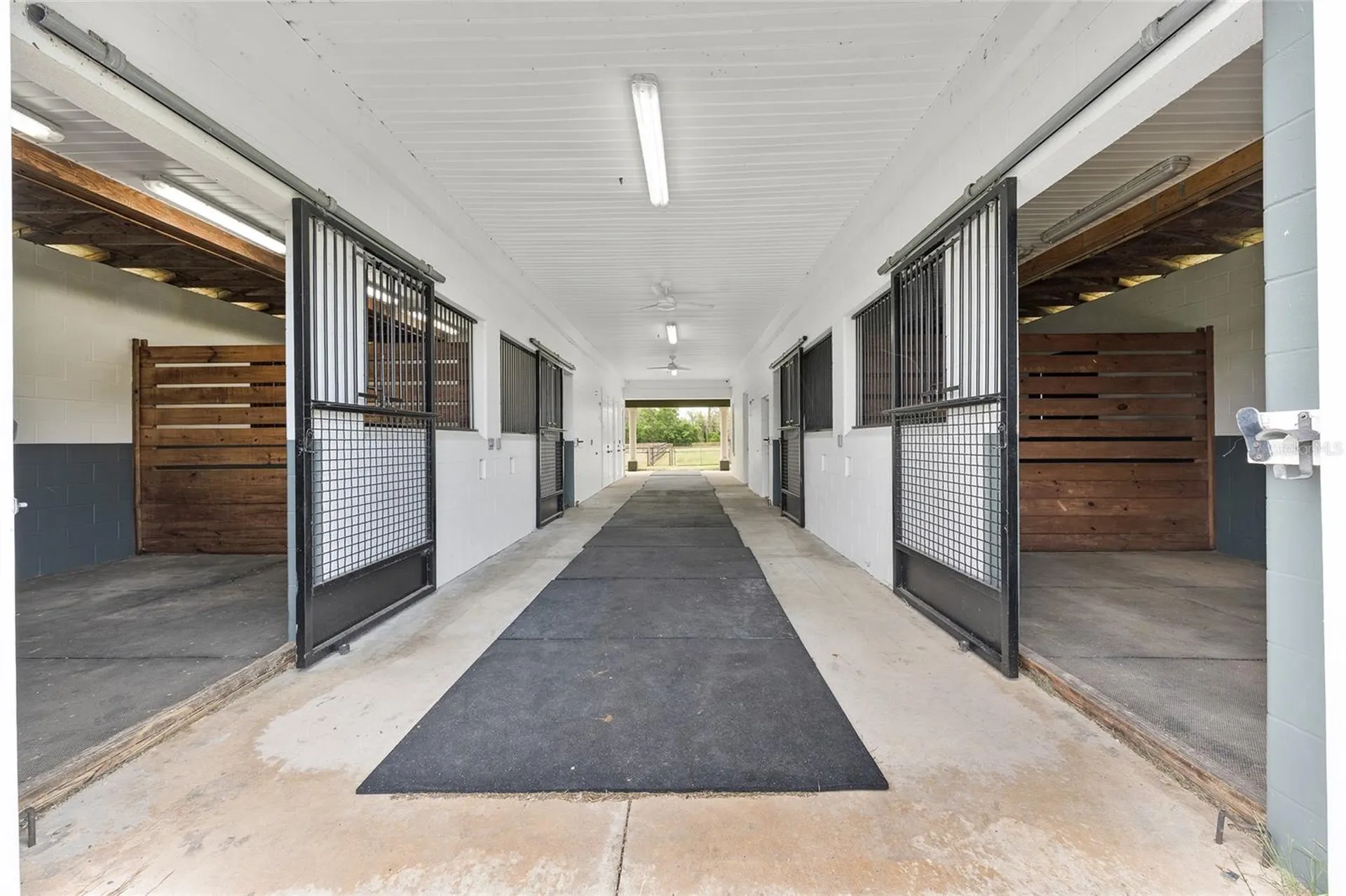 16201 NW 162nd Terrace Williston FL 32696
