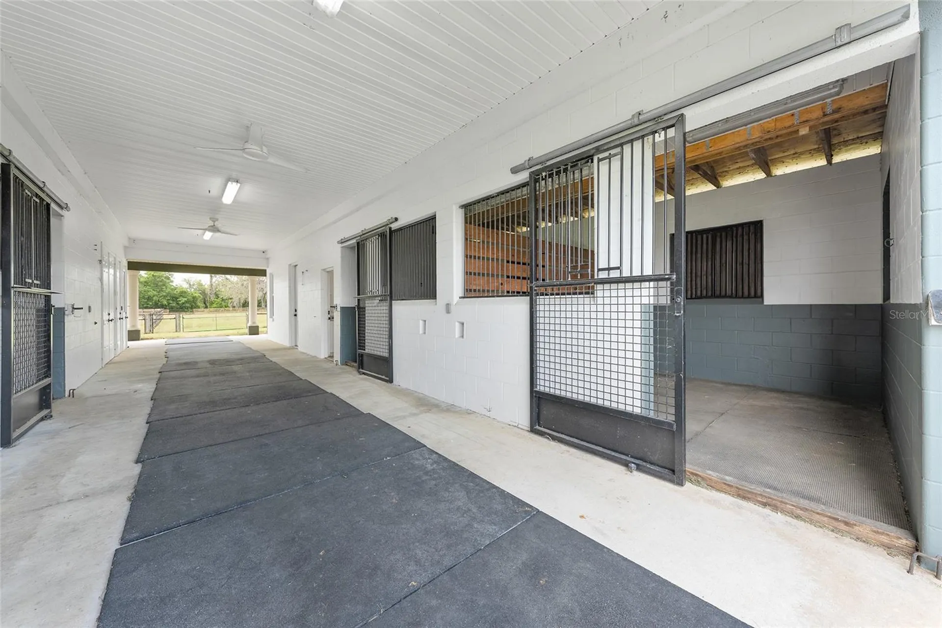 16201 NW 162nd Terrace Williston FL 32696