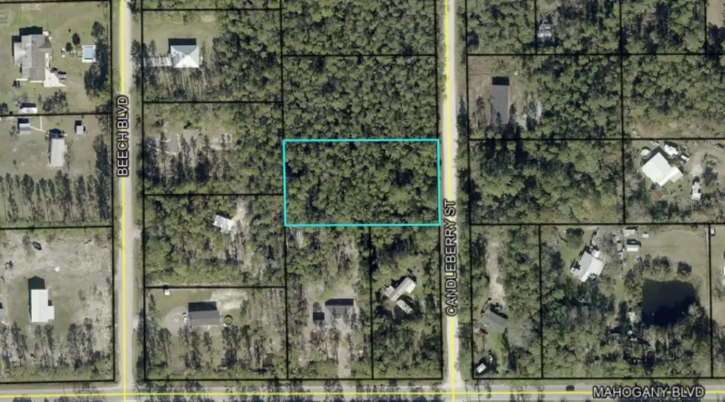 1402 Candleberry Street Bunnell FL 32110