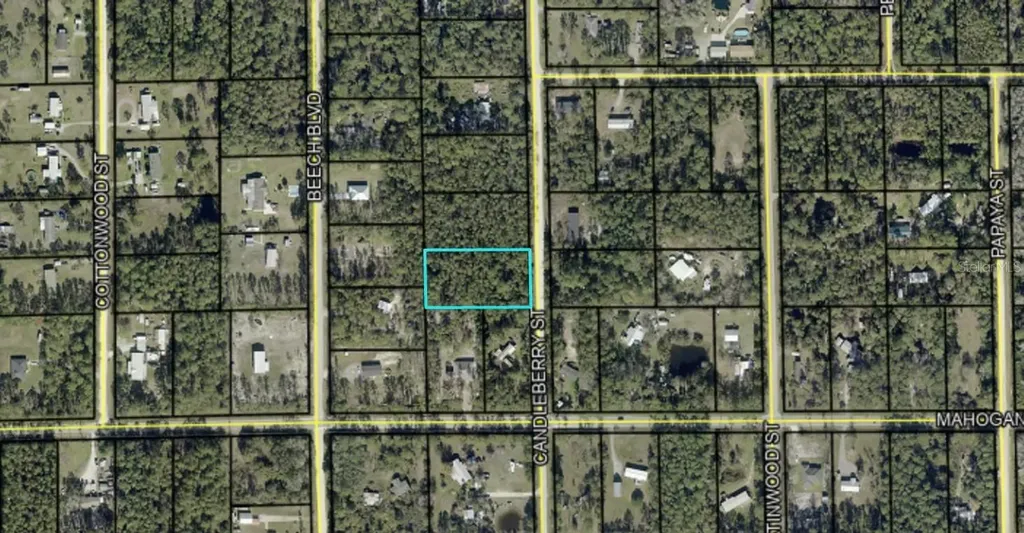 1402 Candleberry Street Bunnell FL 32110