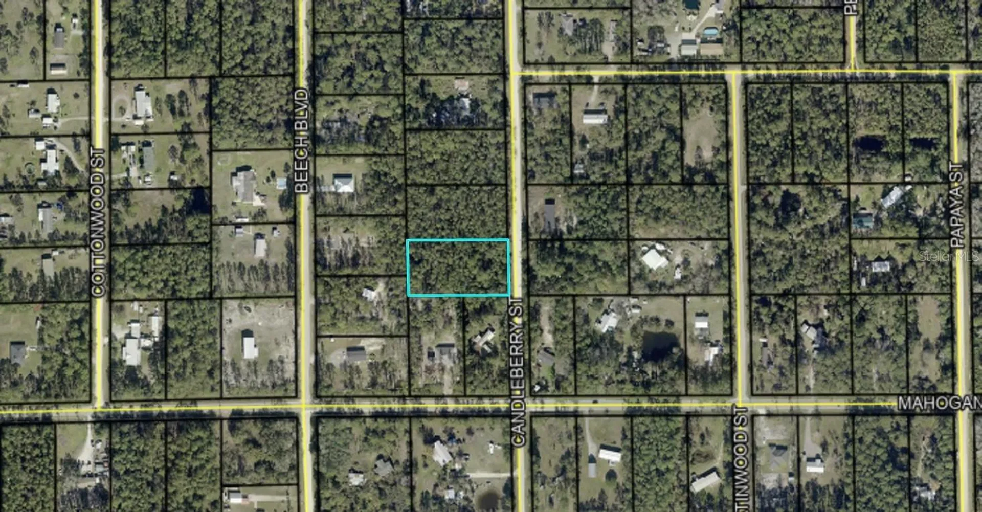 1402 Candleberry Street Bunnell FL 32110