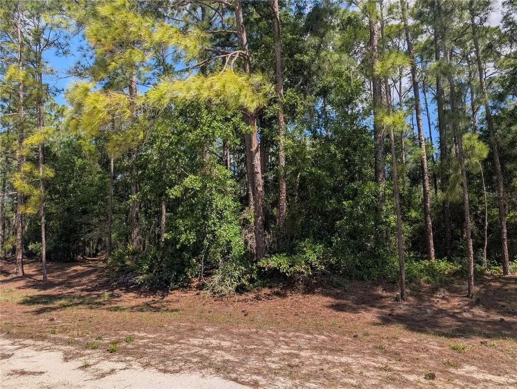 1114 Plumosa Drive Indian Lake Estates FL 33855