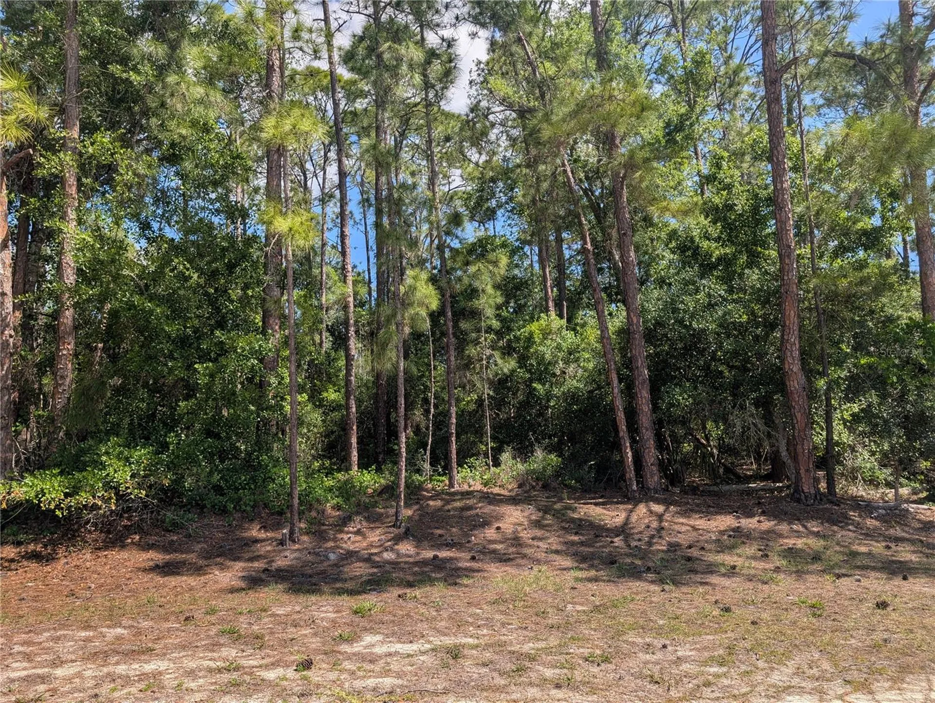 1114 Plumosa Drive Indian Lake Estates FL 33855