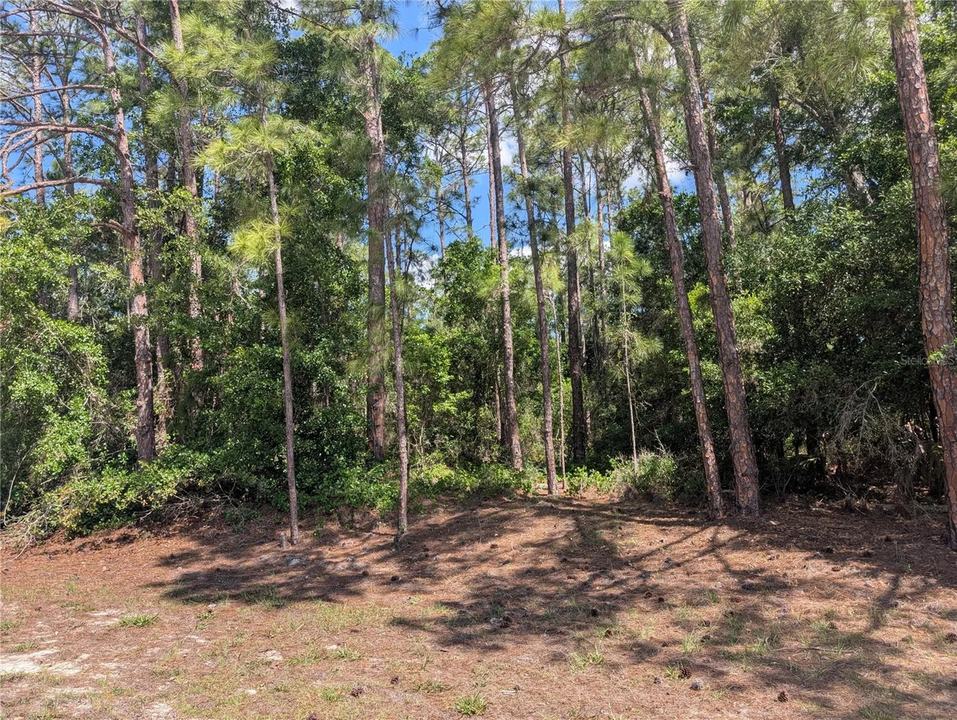 1114 Plumosa Drive Indian Lake Estates FL 33855