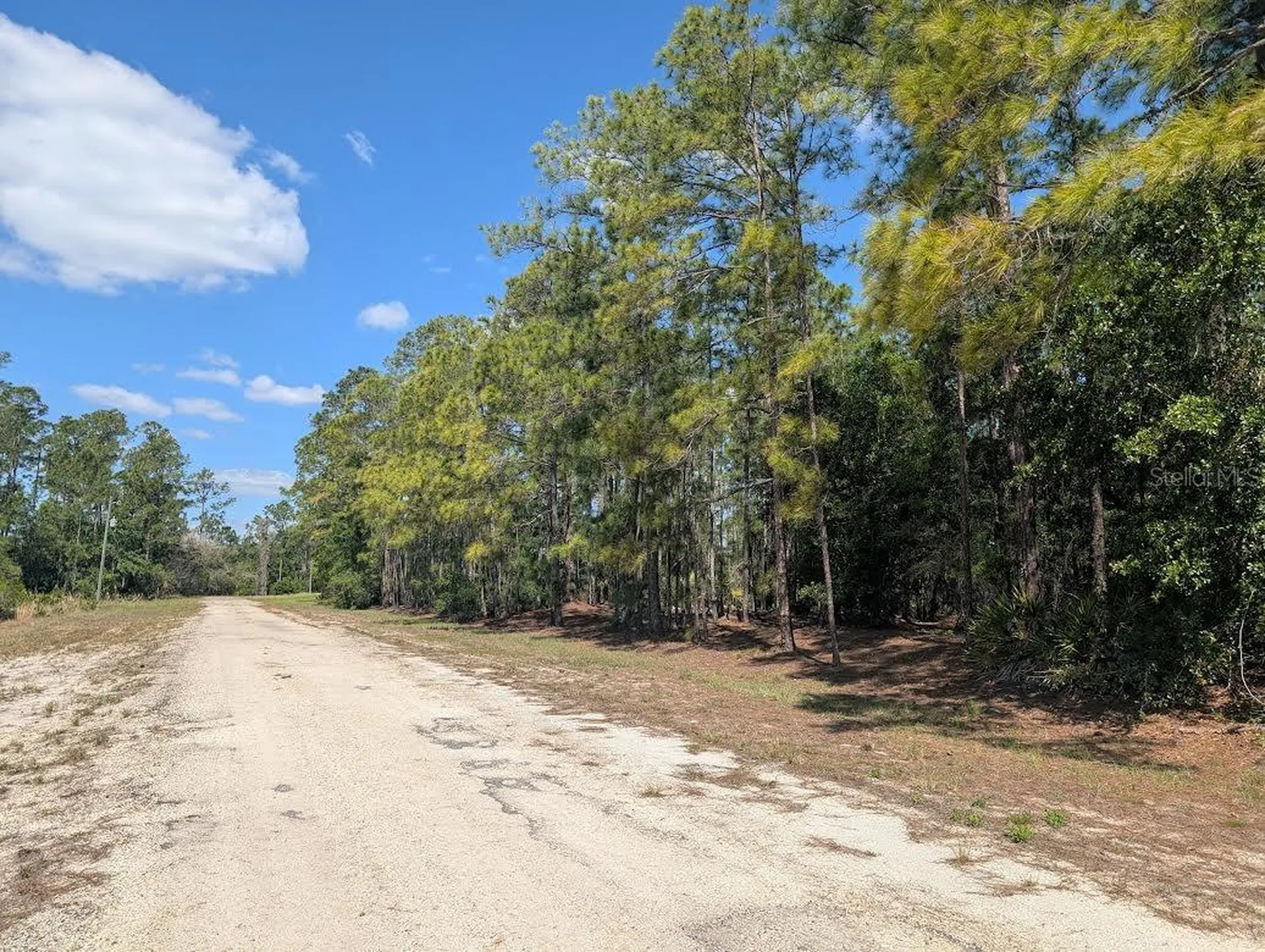 1114 Plumosa Drive Indian Lake Estates FL 33855