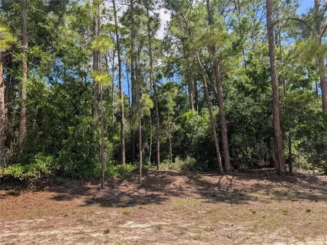 1114 Plumosa Drive Indian Lake Estates FL 33855