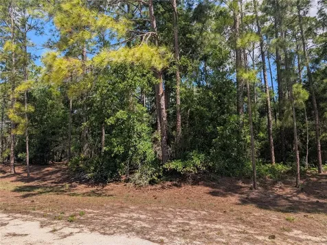 1114 Plumosa Drive Indian Lake Estates FL 33855